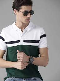 Men Green & White Cotton Colourblocked Polo Collar T-shirt